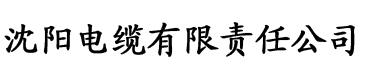 欧美日韩在线旡码视频一电缆厂logo